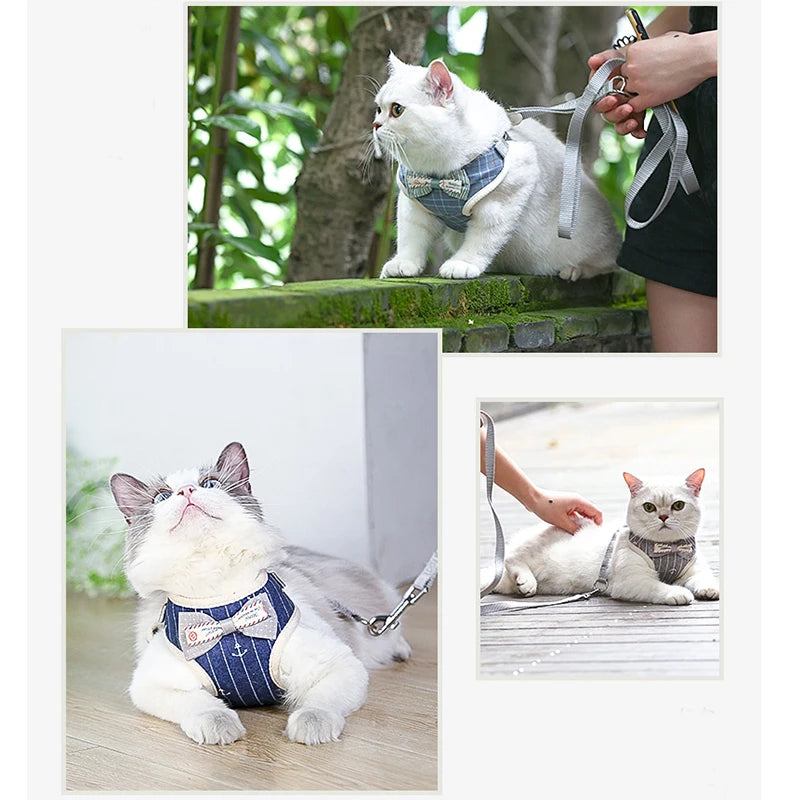 Cat Harness and Leash Set Bowknot Mesh Pet Cat Dog Harness Vest Leads Cat Leash Clothes Cat Collar Dog Traction Harness Belt